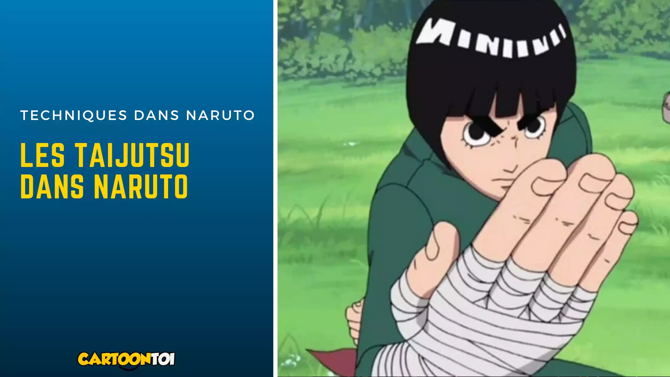 Les Taijutsu dans Naruto