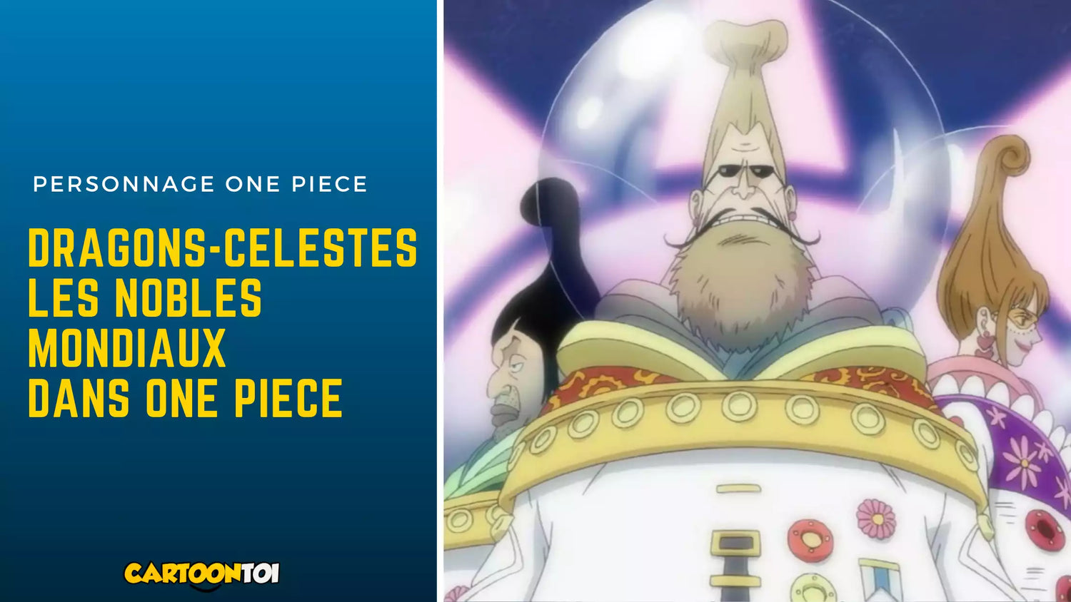 Les membres des Dragons Celestes dans One Piece