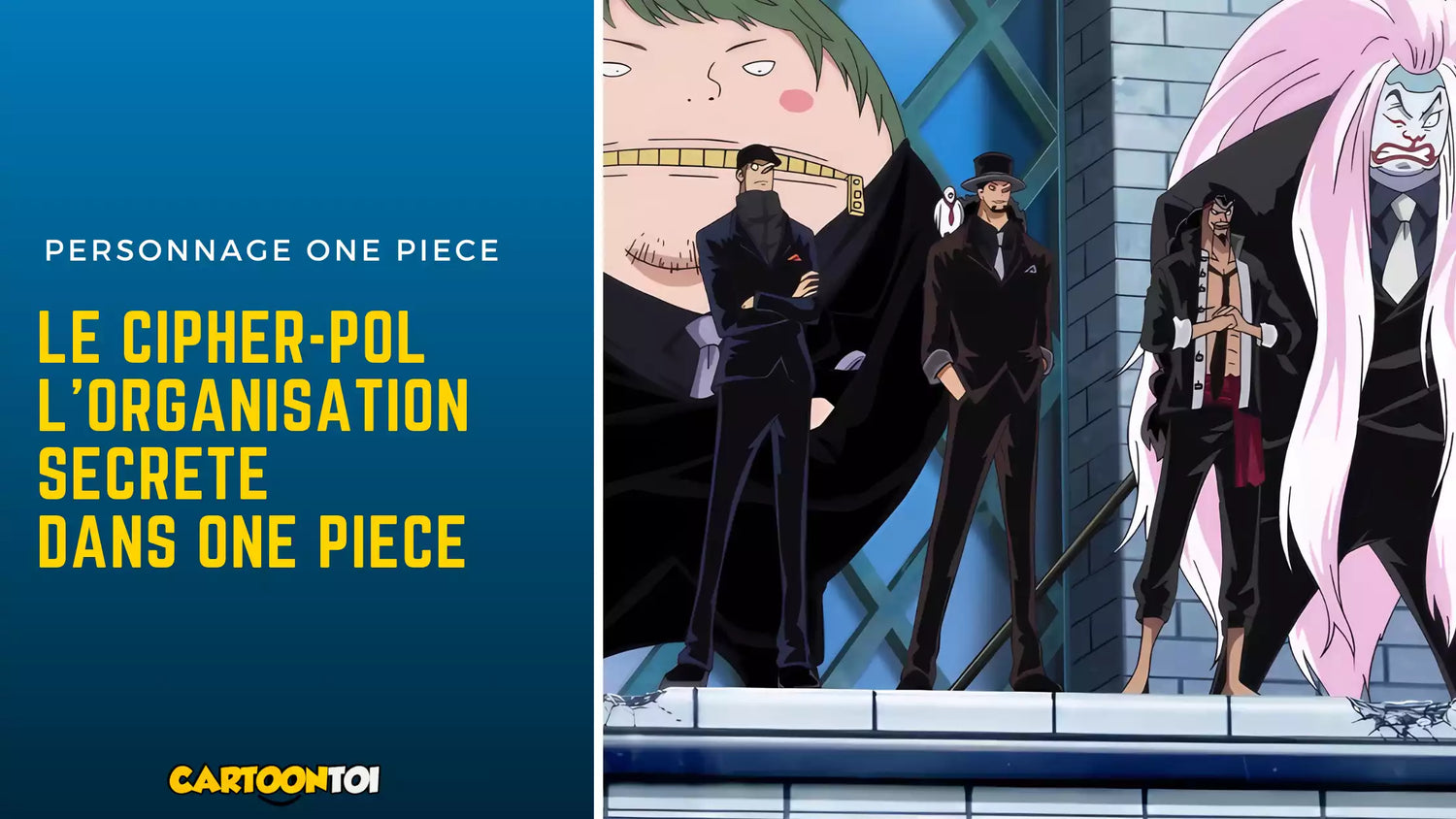 Les membres du Cipher Pol dans One Piece