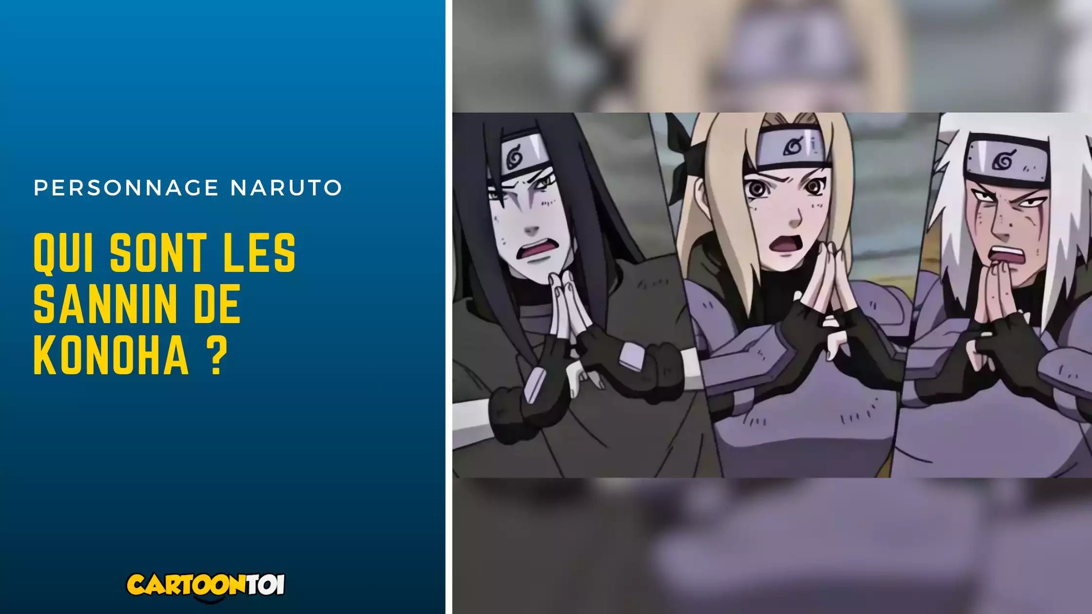 Les trois sannin dans Naruto