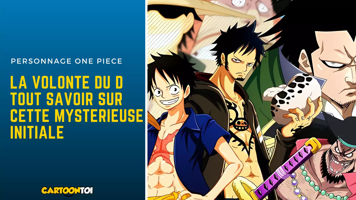 la volonté du d dans one piece